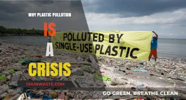 Plastic Pollution Crisis: Devastating Impacts on Our Planet and Future