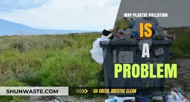 Plastic Pollution: A Global Crisis