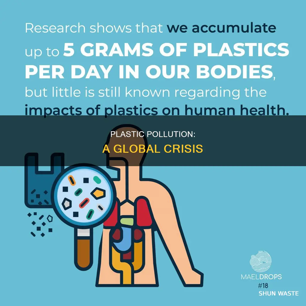 why plastic pollution is a problem