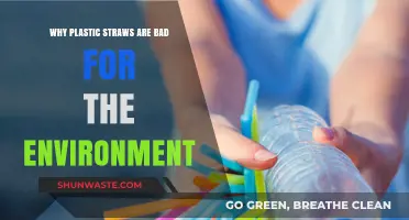 Plastic Straws: Harmful Environmental Impact and Sustainable Alternatives