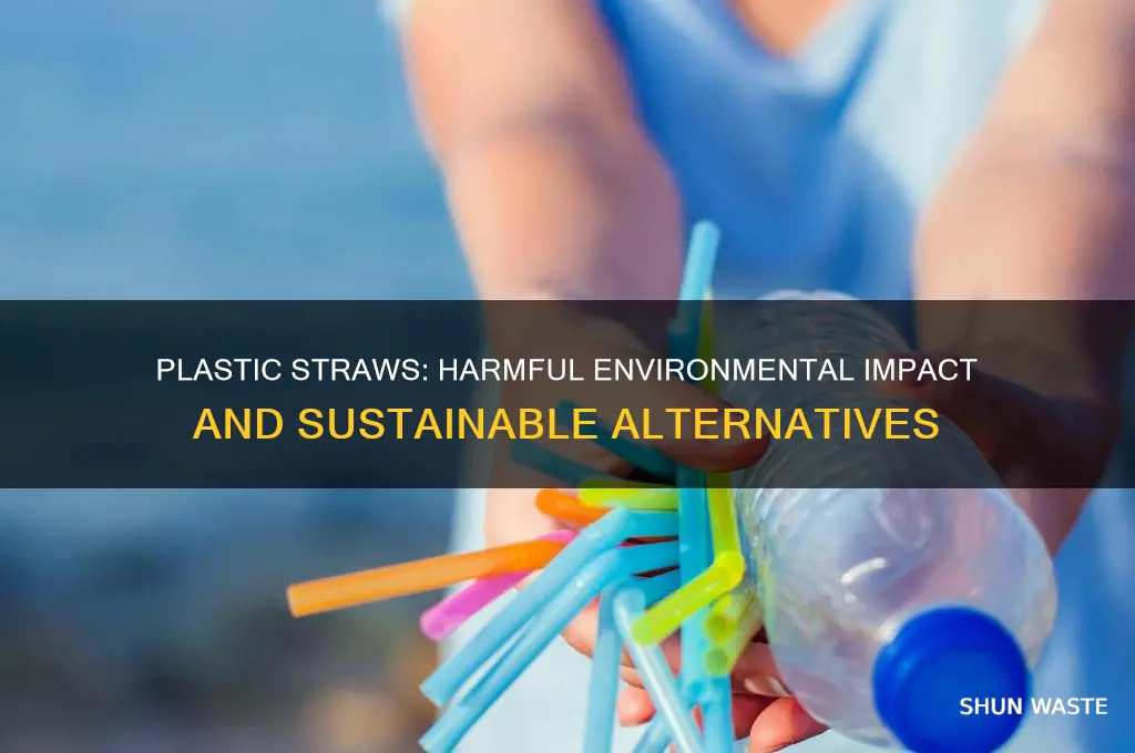why plastic straws are bad for the environment