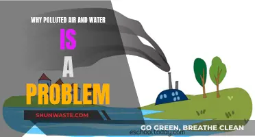 Air and Water Pollution: A Global Crisis