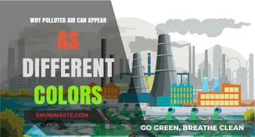 Unveiling the Colorful Secrets of Air Pollution