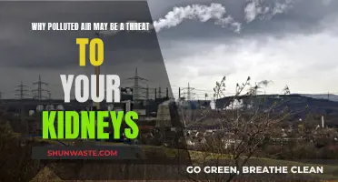 Air Pollution: A Silent Threat to Kidney Health