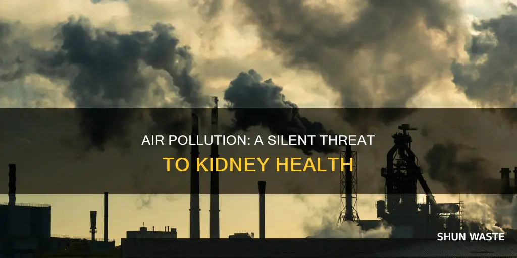 why polluted air may be a threat to your kidneys