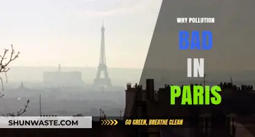 Paris Pollution Crisis: Causes, Health Risks, and Urgent Solutions Needed