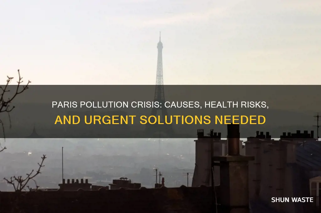 why pollution bad in paris