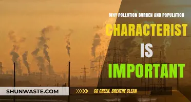 Understanding Pollution's Impact: Population Characteristics and Health Risks Explained