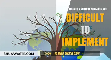 Challenges in Implementing Effective Pollution Control Measures: A Complex Reality