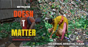 Debunking Myths: Why Pollution's Impact is Overstated and Misunderstood