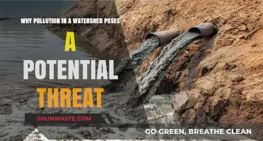 Watershed Pollution: A Silent Threat to Ecosystems and Communities