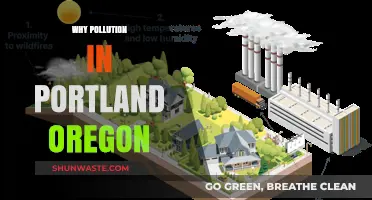 Understanding Portland's Pollution Crisis: Causes and Local Impacts