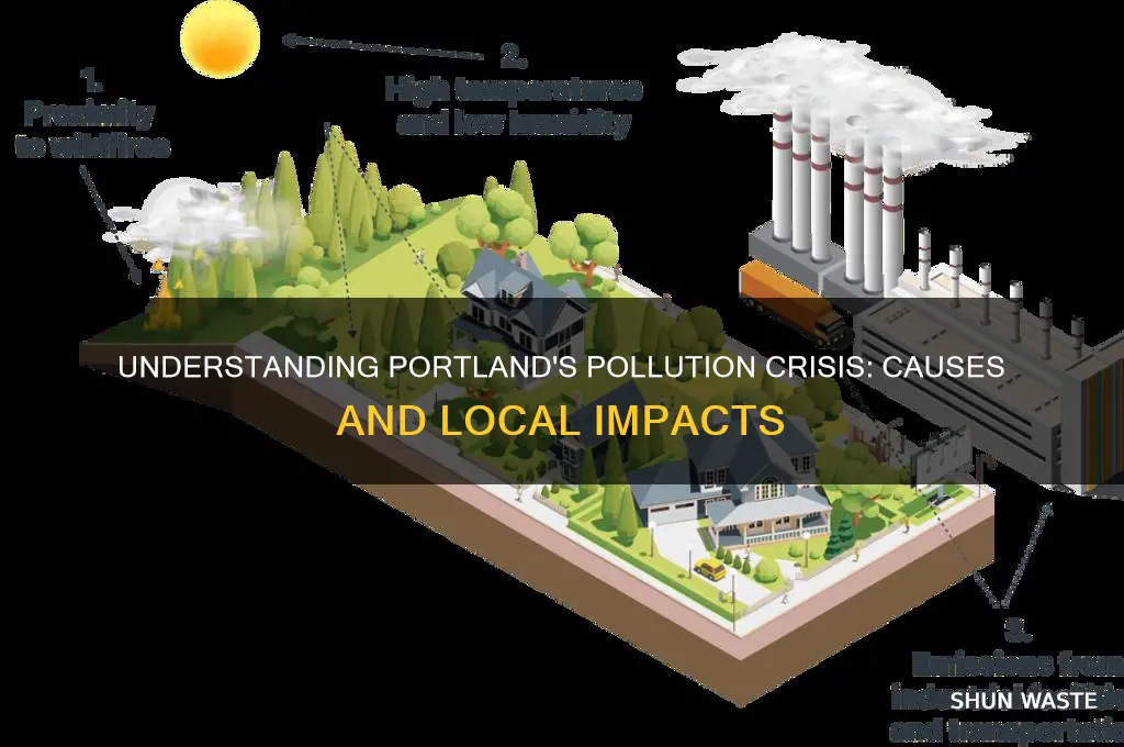 why pollution in portland oregon