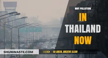 Thailand's Pollution Crisis: Causes, Impacts, and Urgent Solutions Needed