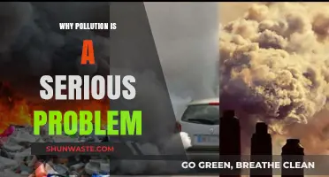 Pollution's Devastating Impact: A Growing Threat to Our Planet's Health