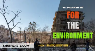 Pollution's Devastating Impact: How It Harms Our Fragile Environment