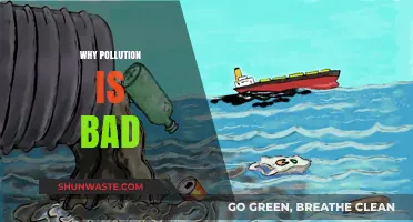 Pollution's Harmful Impact: Understanding the Devastating Effects