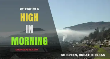 Morning Pollution Surge: Uncovering the Causes of High AM Smog
