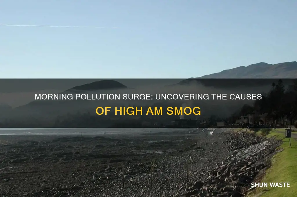 why pollution is high in morning