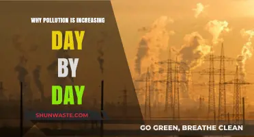 Escalating Pollution Crisis: Unraveling the Daily Surge in Environmental Degradation