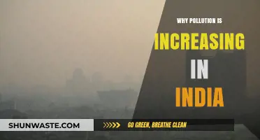 India's Pollution Crisis: Unraveling the Rising Environmental Threat