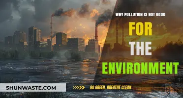 Pollution's Devastating Impact: Why It Harms Our Environment and Future