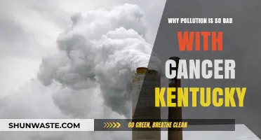 Kentucky's Pollution Crisis: A Cancer Story