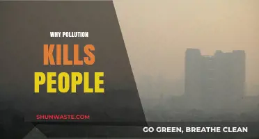 Deadly Air: How Pollution Silently Claims Lives Worldwide