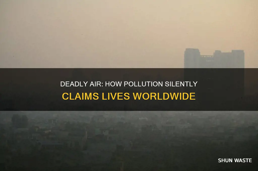 why pollution kills people