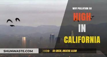 California's Pollution Crisis: Unraveling the Causes Behind High Levels