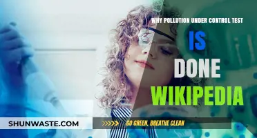 Understanding the Importance of Pollution Under Control Tests: A Wikipedia Guide