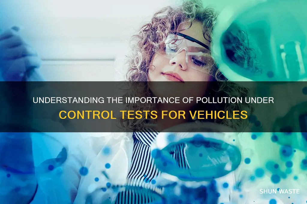 why pollution under control test is done
