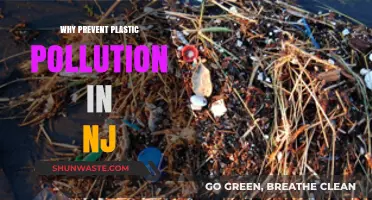 Preventing Plastic Pollution in NJ: Protecting Our Environment and Future