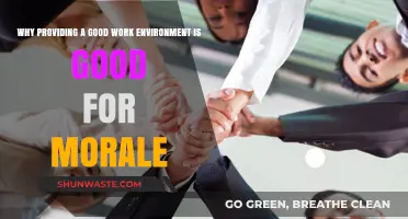 Boost Morale, Productivity: The Power of a Positive Work Environment