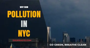 Unveiling NYC's Rain Pollution Crisis: Causes, Impacts, and Solutions