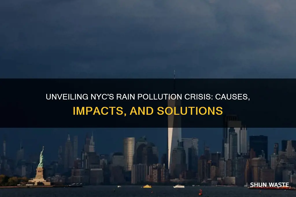 why rain pollution in nyc