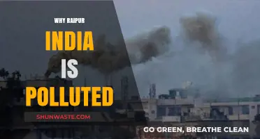 Unveiling Raipur's Pollution Crisis: Causes and Consequences in India