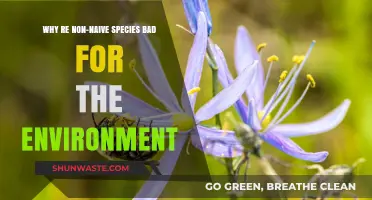 Non-Native Species: Environmental Threats and Ecosystem Disruption Explained