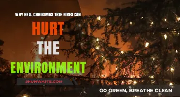 Real Christmas Tree Fires: Environmental Impact and Sustainable Alternatives