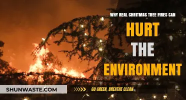 Real Christmas Tree Fires: Environmental Impact and Sustainable Alternatives
