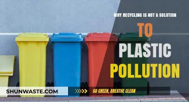 Recycling's Limits: Why It Can't Solve Plastic Pollution Alone