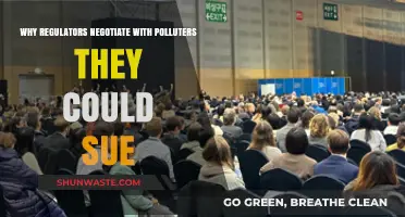 Why Regulators Choose Negotiation Over Litigation with Polluters