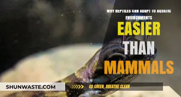 Reptiles' Aquatic Edge: Why They Outadapt Mammals in Water