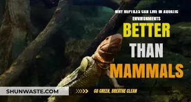 Reptiles vs. Mammals: Superior Adaptations for Aquatic Survival Explained