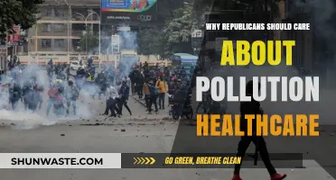 Pollution's Health Crisis: Why Republicans Must Act on Environmental Care