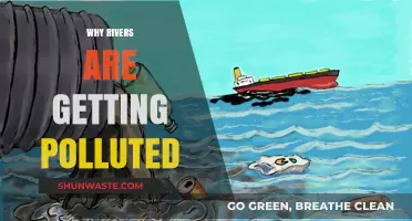 Alarming Causes Behind Increasing River Pollution and Its Impact