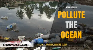 How River Pollution Silently Contaminates Our Oceans: Causes and Solutions