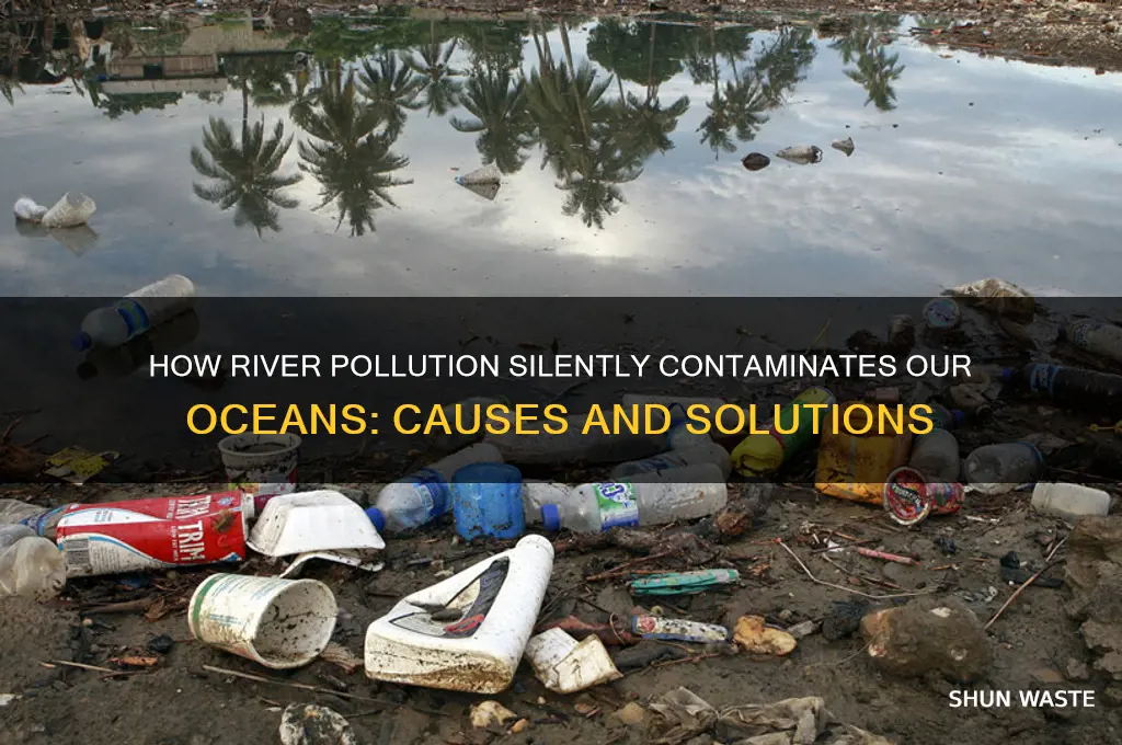 why rivers pollute the ocean