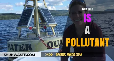 Salt's Hidden Environmental Impact: How It Pollutes Ecosystems and Waterways