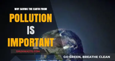 Saving Our Planet: The Urgent Importance of Combating Pollution